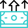 money icon
